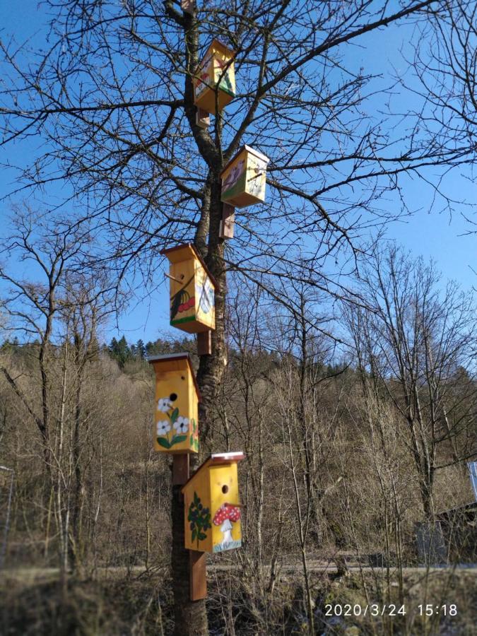 Rodinné apartmány Alpinka Ócsad Kültér fotó